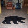Bear Silhouette Tile Design:  This is a 4'x6' black slate silhouette design.  SOLD.  Approximate price $950.**